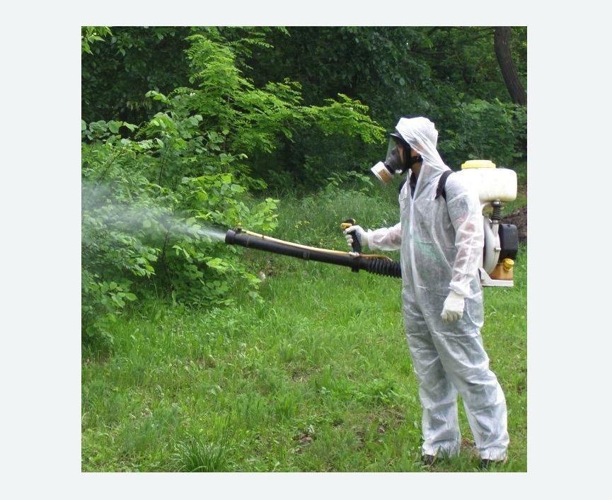 обработка территории от клещей в Няндоме