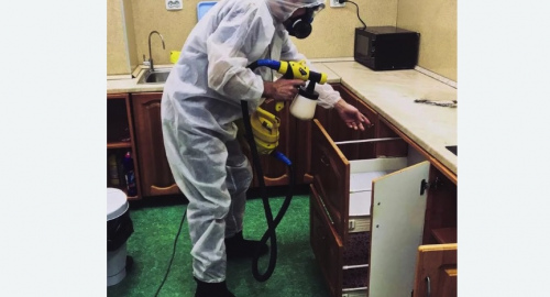 Уничтожение насекомых в квартире. Няндома