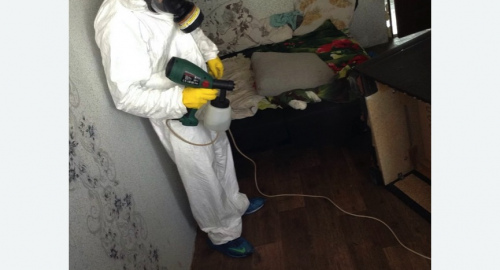 Обработка квартир от насекомых в Няндоме