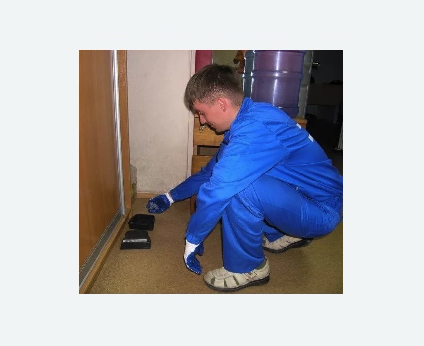 Дератизация крыс Дератизация крыс в Няндоме