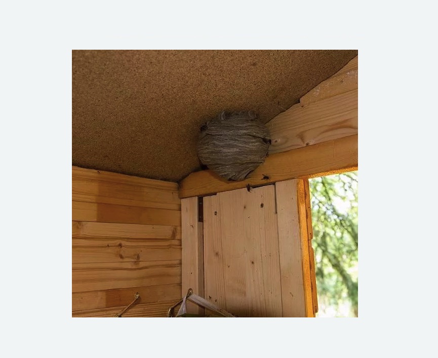 Обработка от ос в Няндоме Обработка от ос