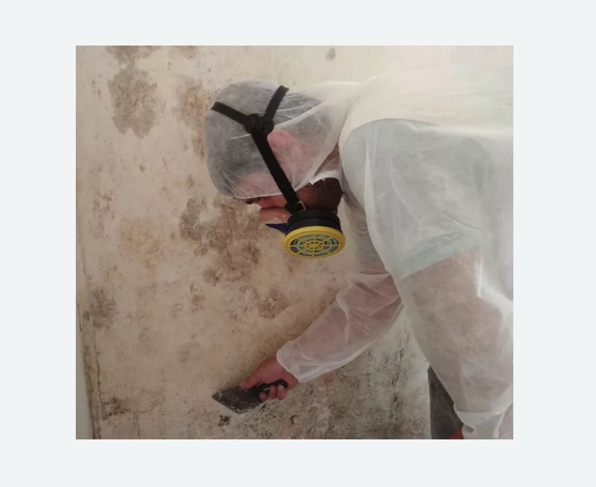 Обработка стен от плесени Обработка стен от плесени в Няндоме