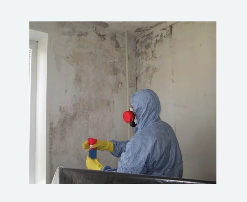 Удаление плесени в квартире Удаление плесени в квартире в Няндоме