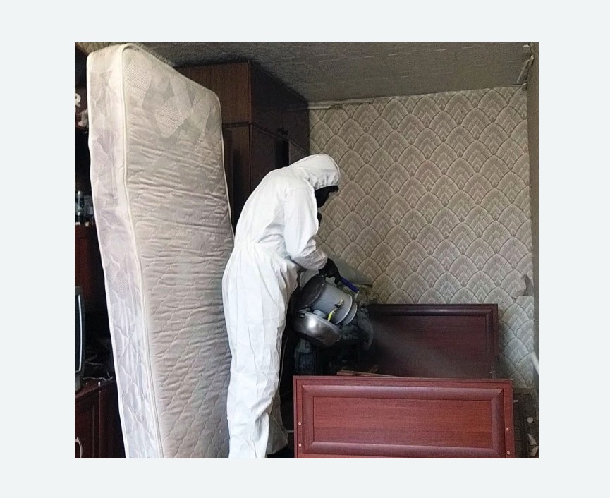 дезинфекция от клопов в Няндоме