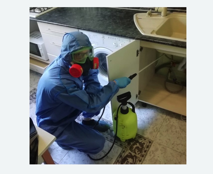 обработка от муравьев в квартире в Няндоме