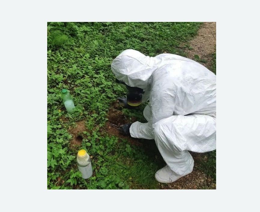 уничтожение кротов на участке в Няндоме