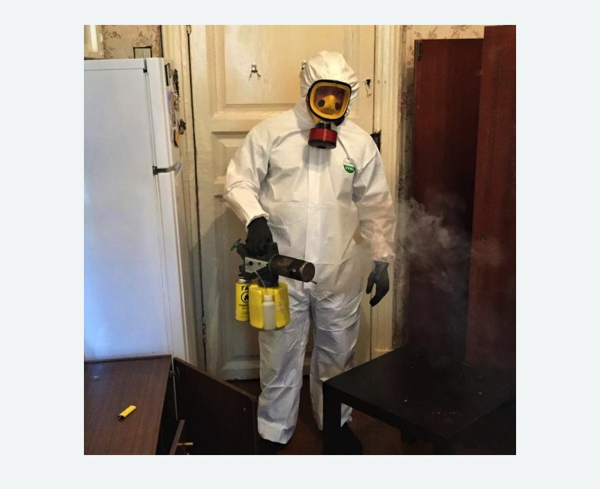 уничтожение муравьев в квартире в Няндоме